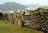 Bei einem einsamen Bauernhof wurde dieses Holz gelagert( die Reihe war ca. 300 m lang!)